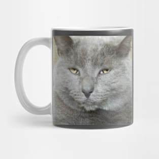 Living wild life Mug